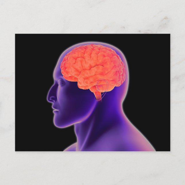 Carte Postale Image Conceptuelle Du Cerveau Humain 1 (Devant)
