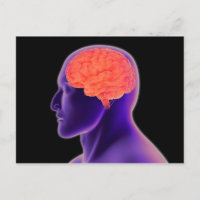 Image Conceptuelle Du Cerveau Humain 1