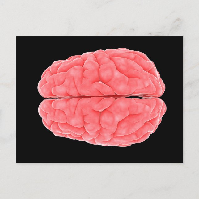 Carte Postale Image Conceptuelle Du Cerveau Humain 10 (Devant)
