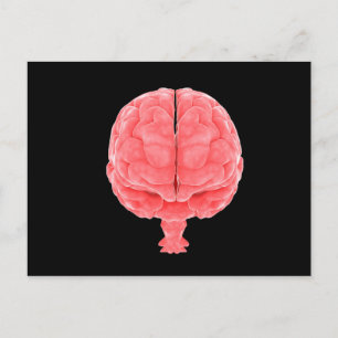 Carte Postale Image Conceptuelle Du Cerveau Humain 3