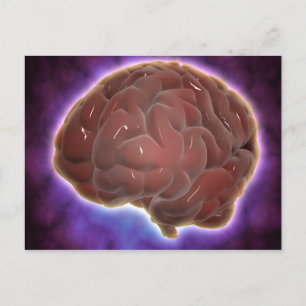 Carte Postale Image Conceptuelle Du Cerveau Humain 6