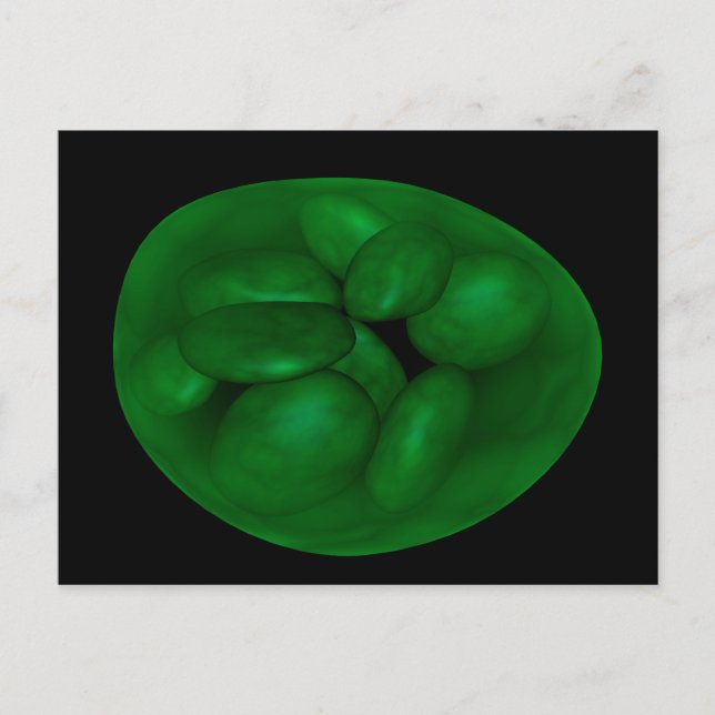 Carte Postale Image Conceptuelle Du Chloroplaste 2 (Devant)