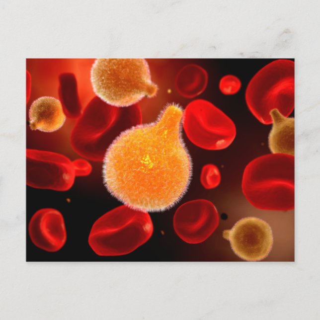 Carte Postale Image Conceptuelle Du Plasmodium À L'Origine Du Pa (Devant)
