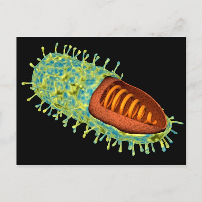 Carte Postale Image conceptuelle du virus de la rage 3 (Devant)