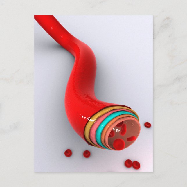 Carte Postale Image Conceptuelle D'Un Bateau De Sang (Devant)