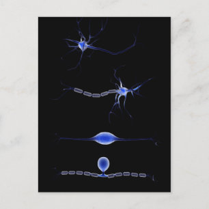 Carte Postale Image Conceptuelle D'Un Neuron 1