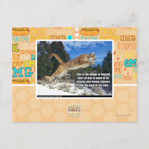 Carte Postale Image de chat