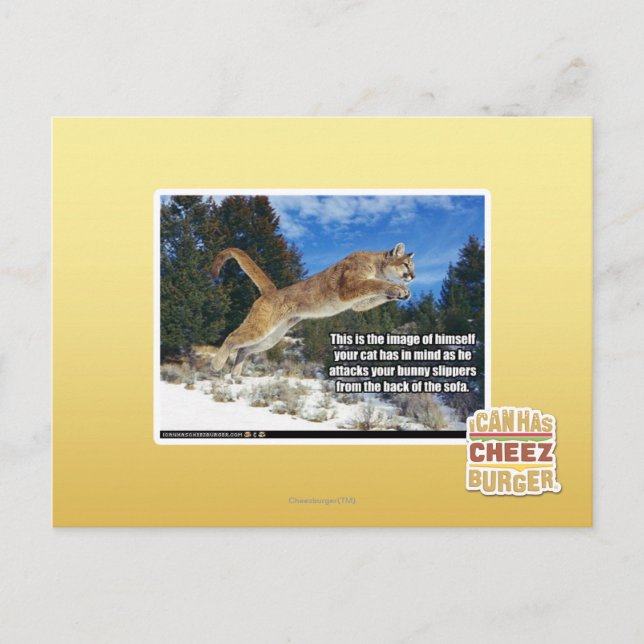Carte Postale Image de chat (Devant)