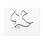 Image de la branche de la colombe et de l'olive