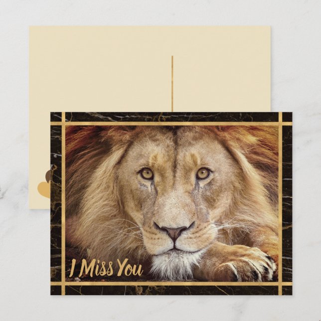Carte Postale Image de la photo du lion (Devant / Derrière)