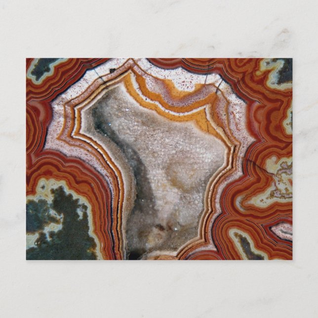Carte Postale Image de l'agate Dryhead (Devant)