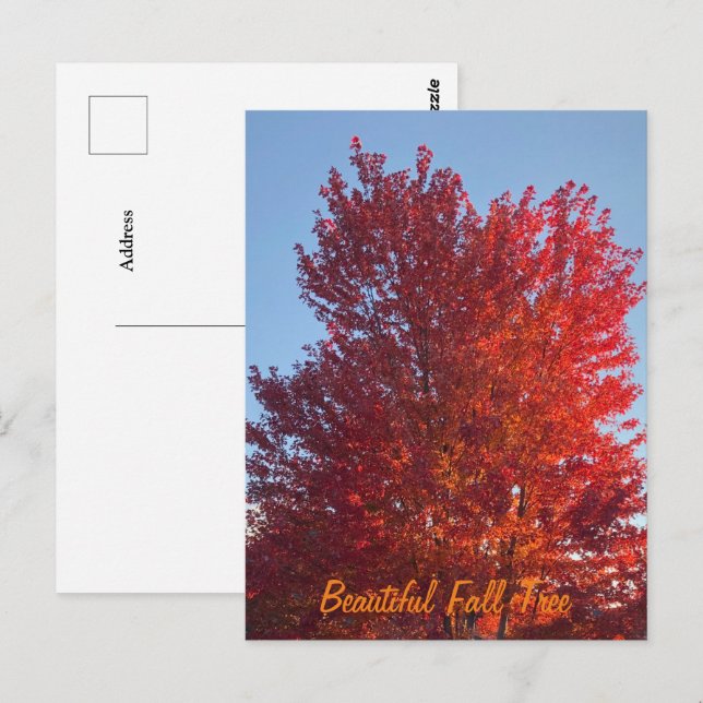 Carte Postale Image de l'arbre automne | (Devant / Derrière)