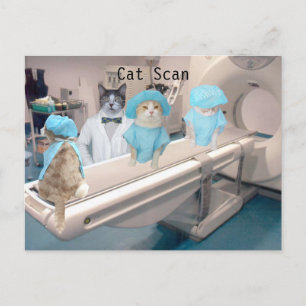 Carte Postale Image de numérisation de chat amusante