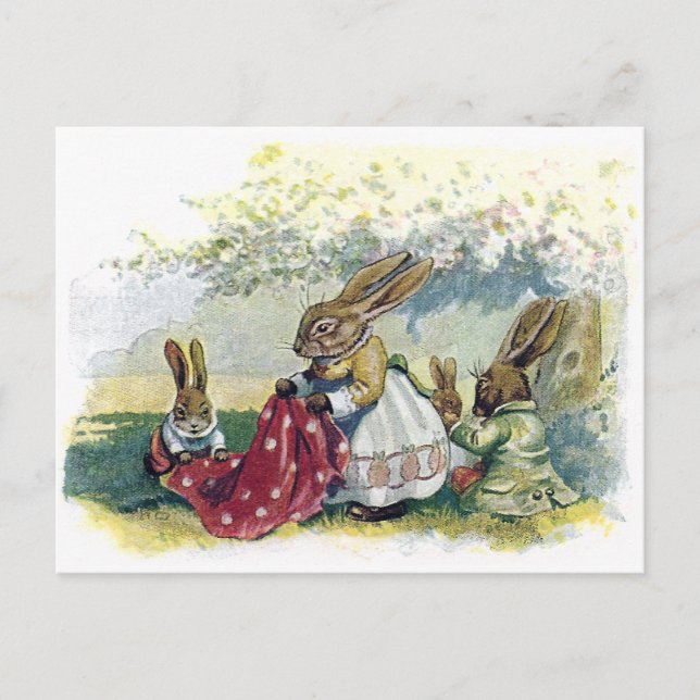 Carte Postale Images de lapins (Devant)