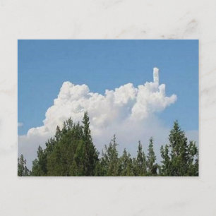 Carte Postale Images d'une nature suggestive