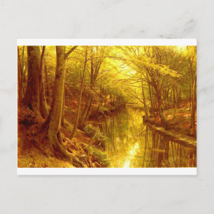 Carte Postale images-forêts-8