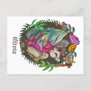 Carte Postale Imaginaire kohlrabi hérisson - hérisson mignon