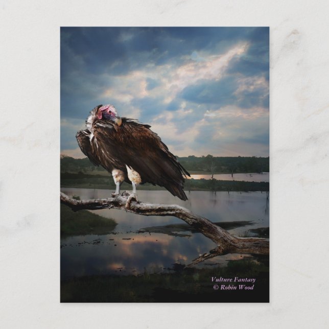 Carte Postale Imaginaire vautour (Devant)