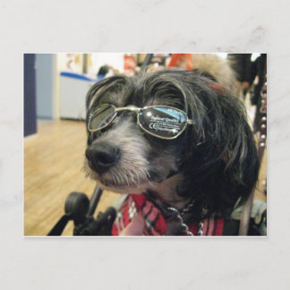 CARTE POSTALE IMG_0431