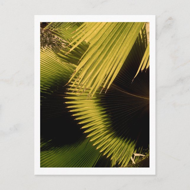 CARTE POSTALE IMG_0453 (Devant)