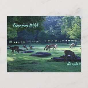 CARTE POSTALE IMG_1664 NARA