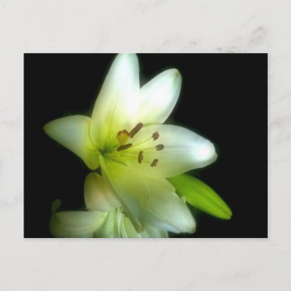 CARTE POSTALE IMG_1980