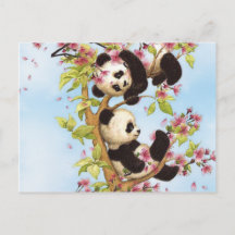IMG_7386.PNG cute and colorful panda designed