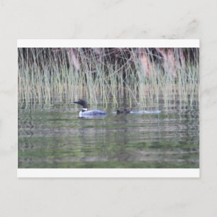 CARTE POSTALE IMG_8448_1