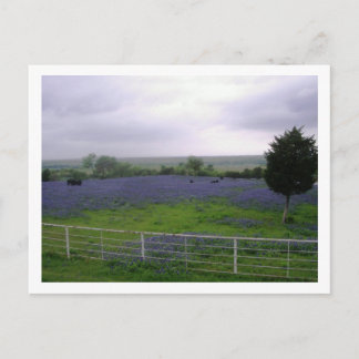 CARTE POSTALE IMGP4300