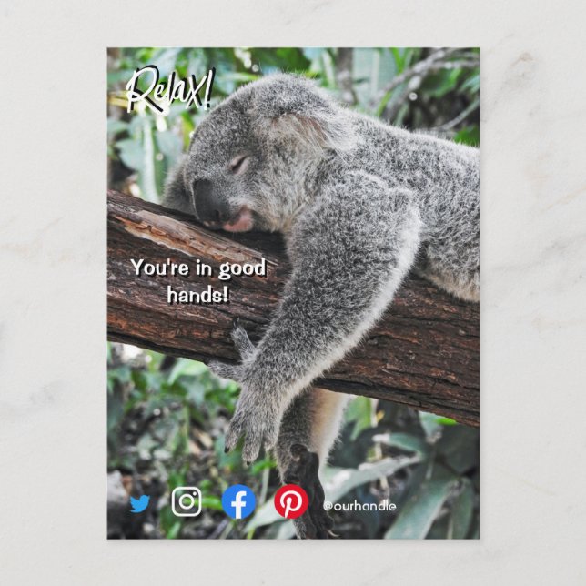 carte postale immobilière drôle koala détendu (Devant)