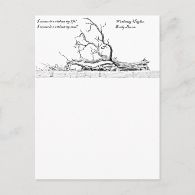 Carte Postale Impossible De Vivre Sans Mon Âme Qui Attaque Les H (Devant)