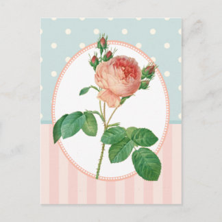 Carte Postale Impression botanique de rose rose vintage