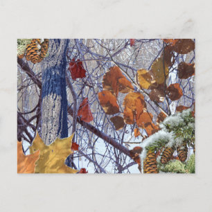 Carte Postale Impression Camion de la première forêt d'hiver de 