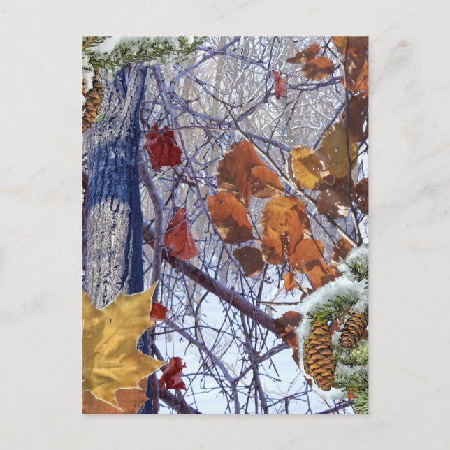 Carte Postale Impression camouflage de neige hivernale (Devant)