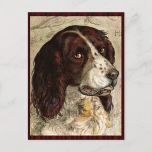 Carte Postale Impression Cocker Spanial Dog