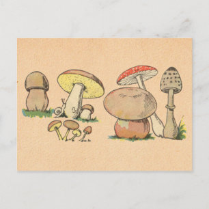 Carte Postale Impression de champignons vintages