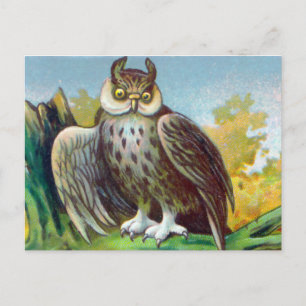 Carte Postale Impression de la chouette vintage