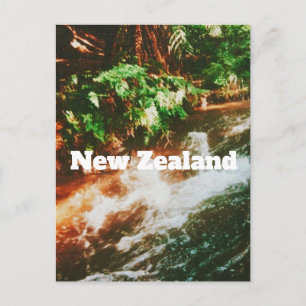 Carte Postale Impression de voyage en Nouvelle-Zélande 