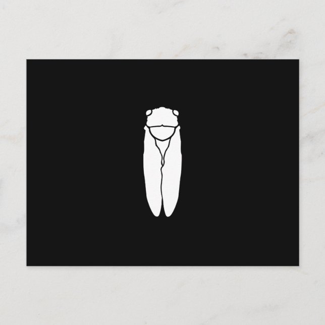 Carte Postale Impression d'insectes blanc Retro Cicada (Devant)