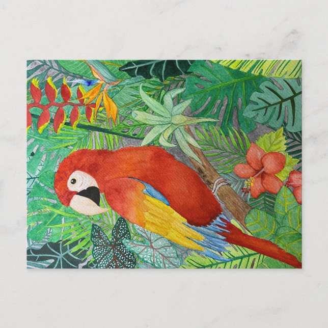 Carte postale Impression d'oiseaux (Devant)