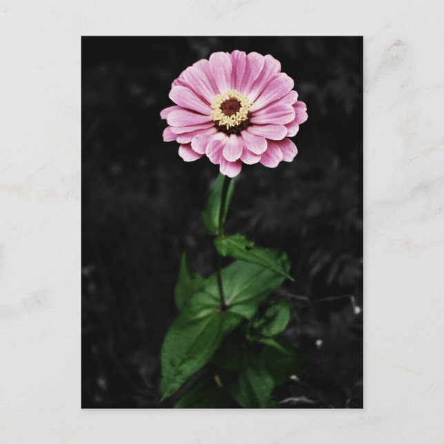 Carte Postale Impression durable (Devant)