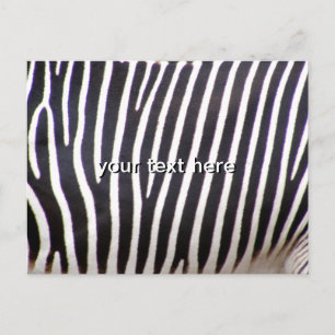 Carte Postale Impression Zebra