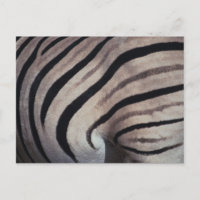 Impression Zebra