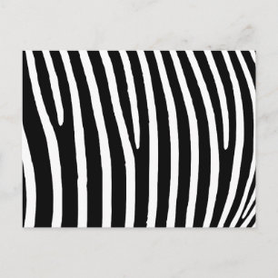 Carte Postale Impression zèbre