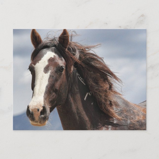 Carte Postale Impressionnant (Devant)