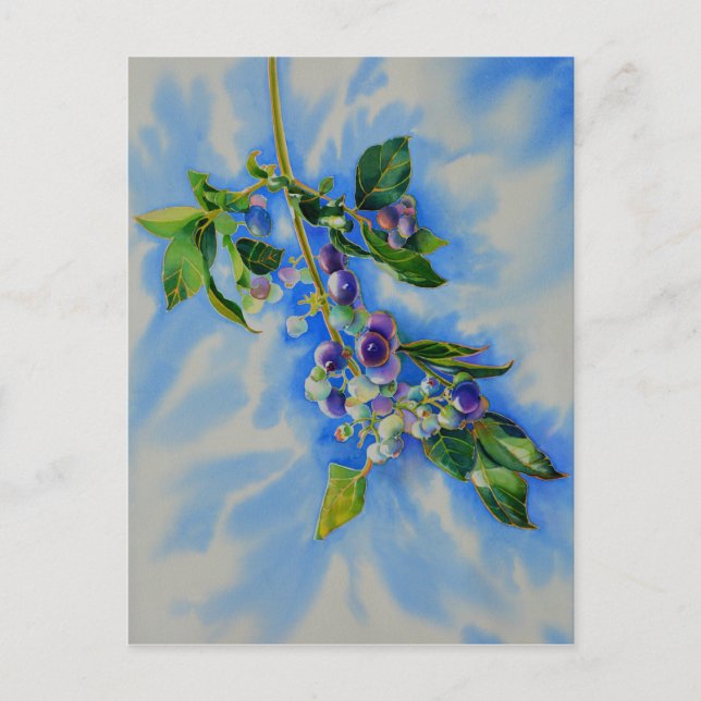 Carte Postale Impressionniste Blueberry peinture (Devant)