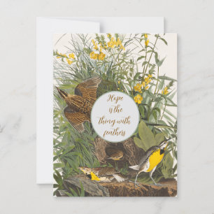 Carte Postale Imprimer vintage Audubon Meadowlark