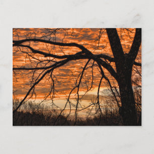 Carte Postale Incendie dans le ciel matinal d'hiver
