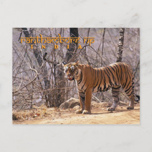 Carte Postale Inde