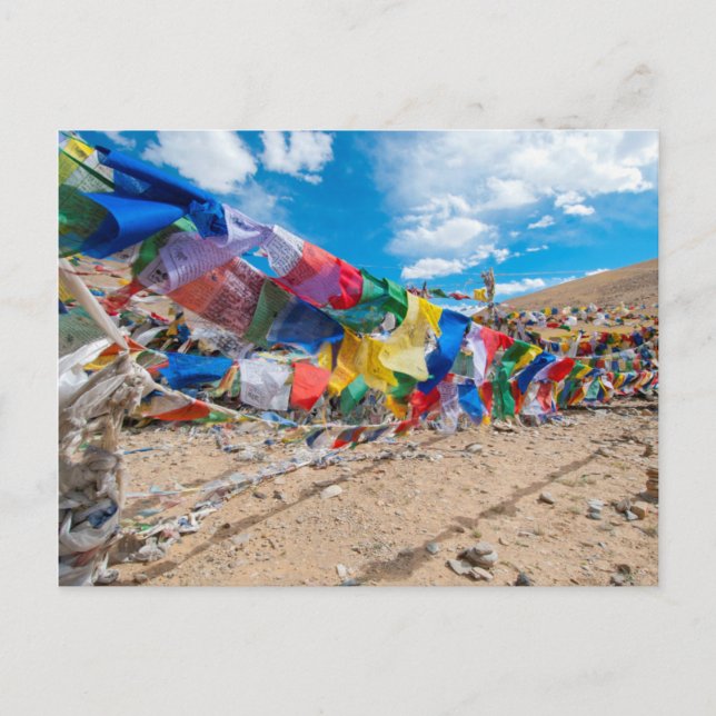 Carte Postale Inde, Jammu & Cachemire, Ladakh, Pass Namshangla (Devant)